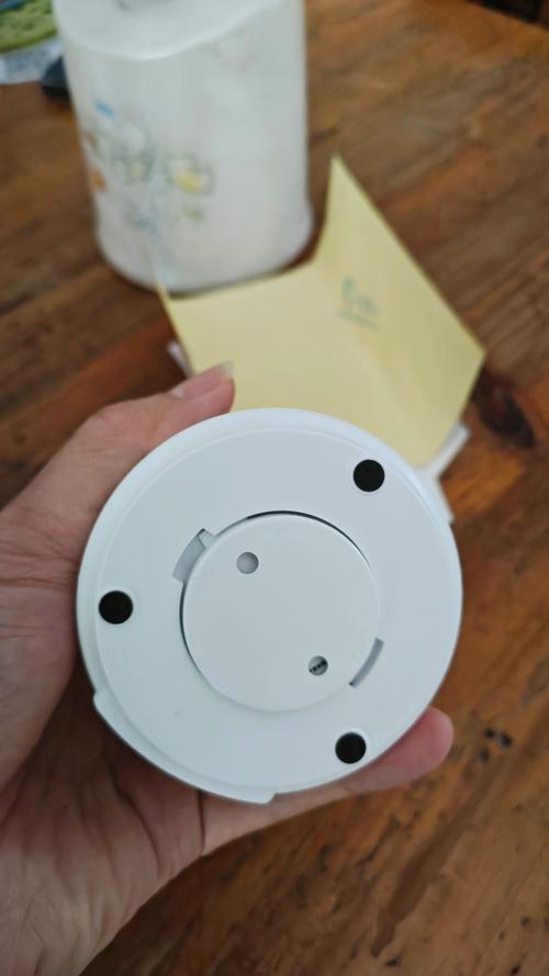 小蚁1080p智能摄像机不能用米家