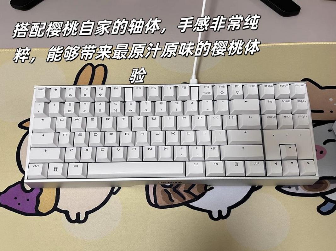 cherrymxboard2.0参数