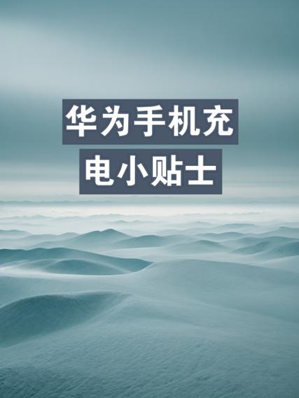 智能新手机第一次充电多长时间