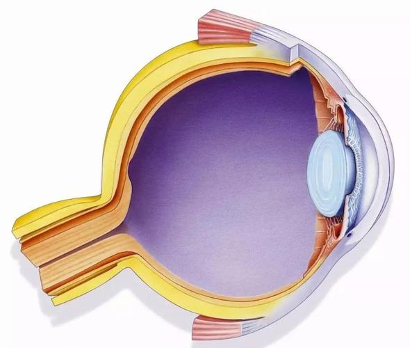 下列哪个检验是否具有人工智能