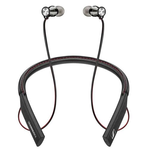 momentum in ear参数