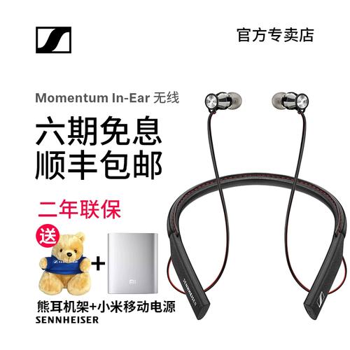 momentum in ear参数