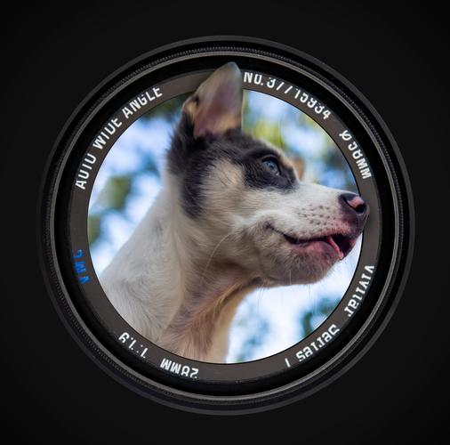 vivitar 28 1.9 参数