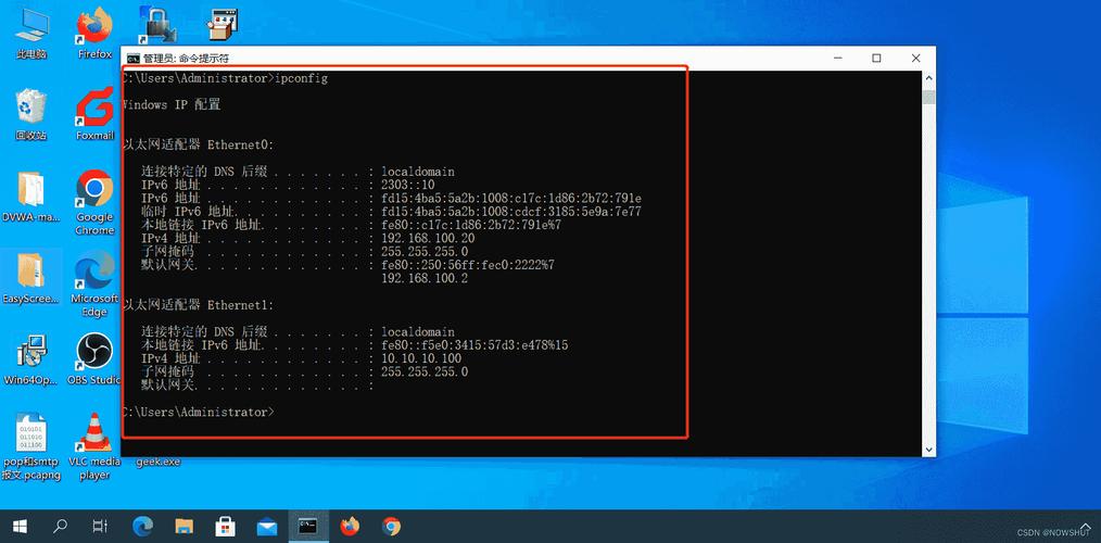 windows ping 默认参数