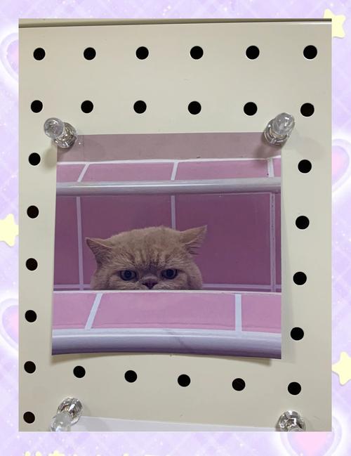 爱普生智能手表ps 500