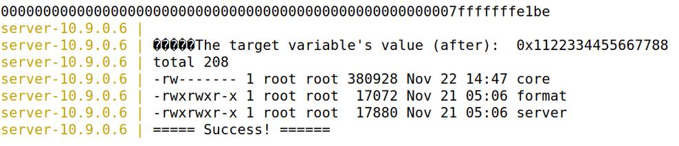 string format 参数