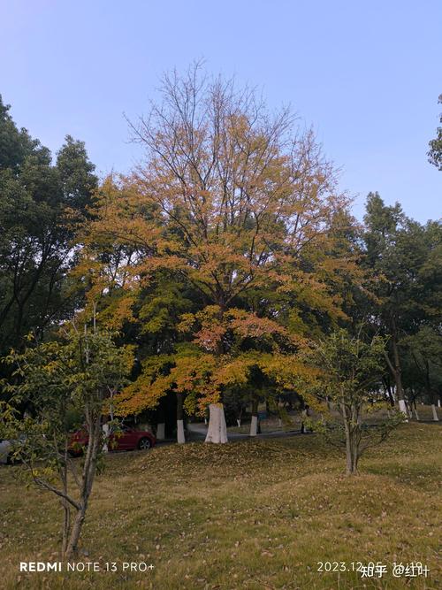 红米note plus参数详细参数