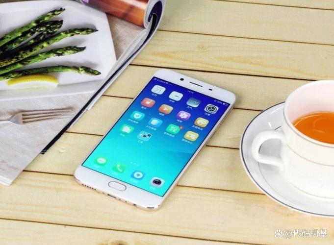 oppor9splus参数配置详情