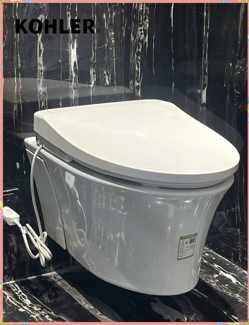 toto 科勒 智能马桶盖