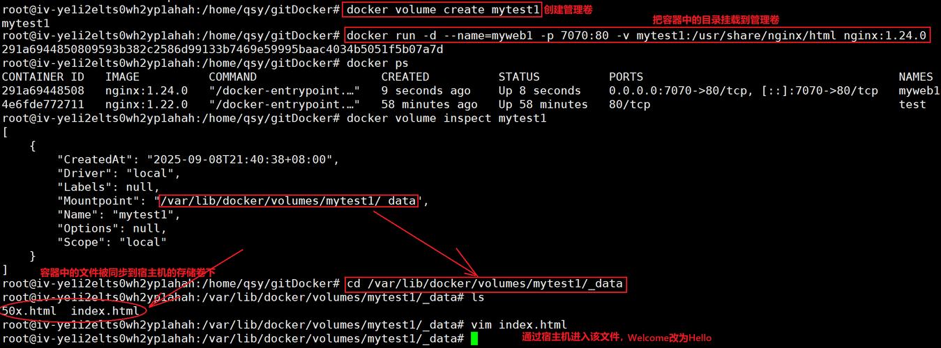docker import 参数