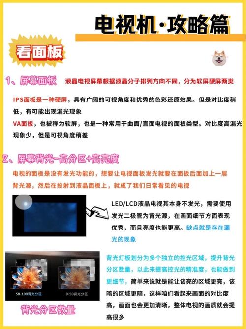 微鲸电视新品w49f参数配置曝光