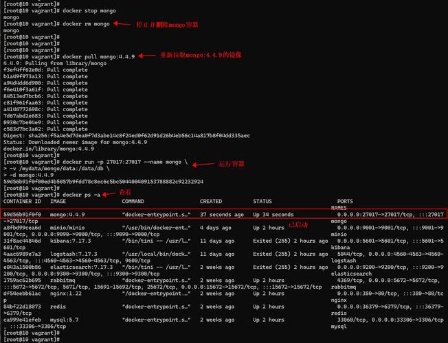 docker run it 参数