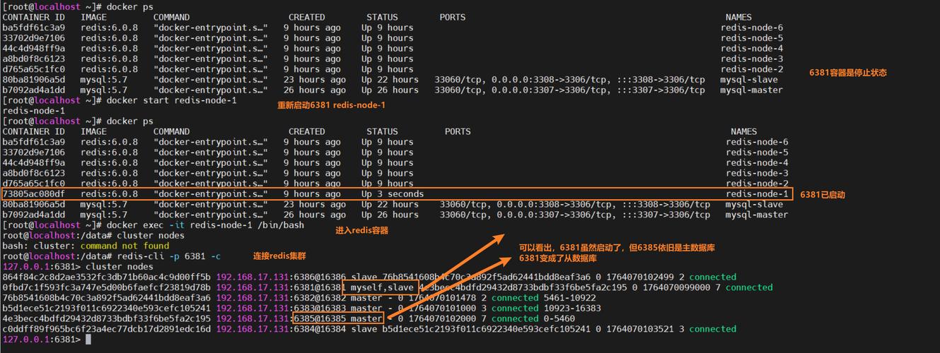 docker run it 参数