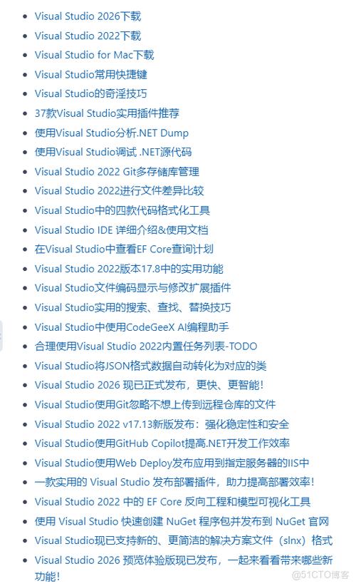 visual studio 参数