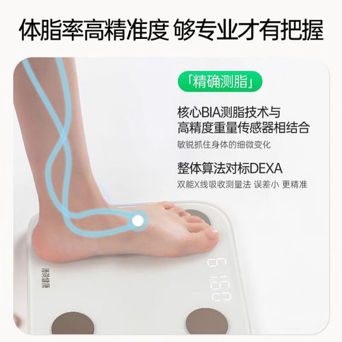 薄荷mini智能体脂秤