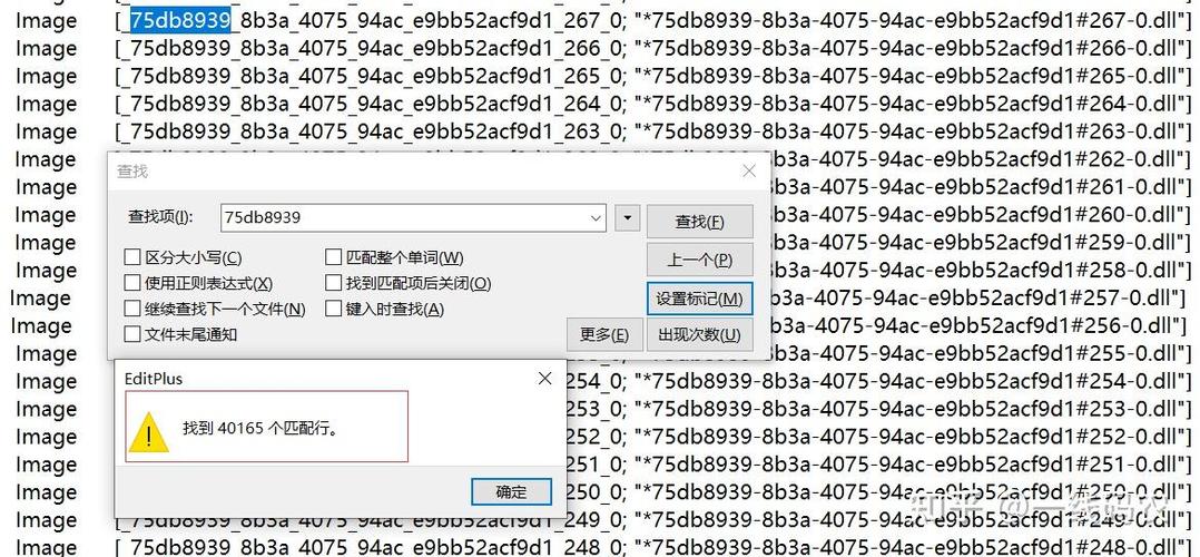 windbg 查看dump参数