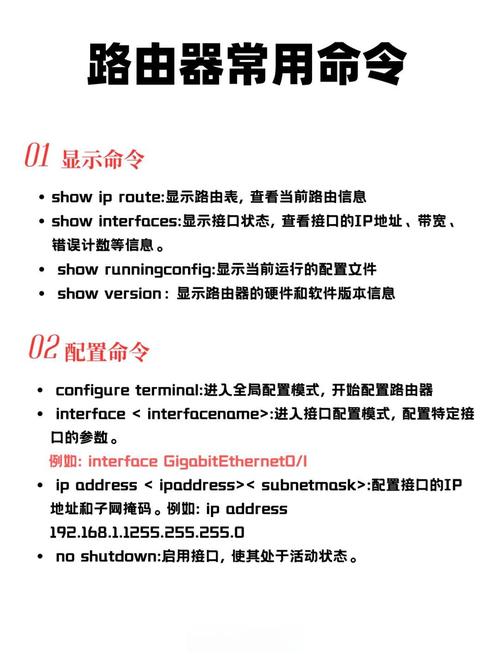 router link携带参数