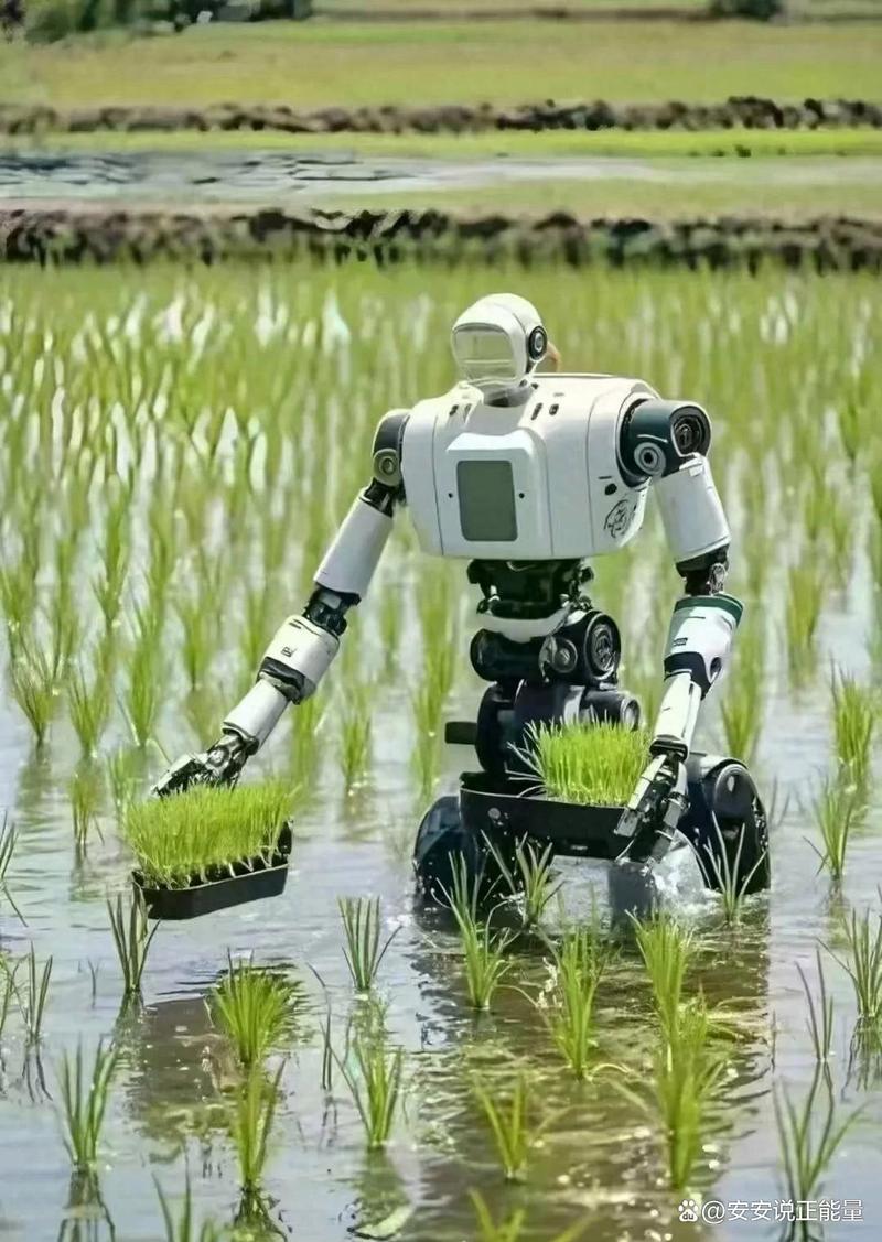 人工智能 机器人 农业