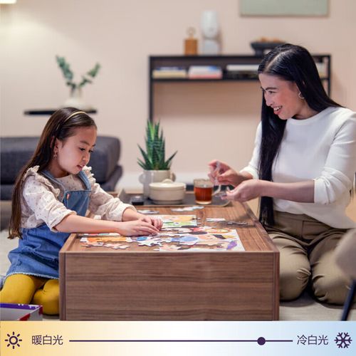 智能led灯泡 飞利浦