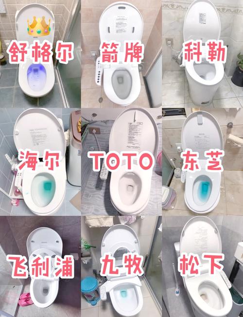 智能马桶 马桶盖 区别