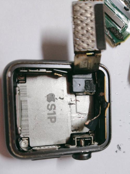 apple watch 5 拆机