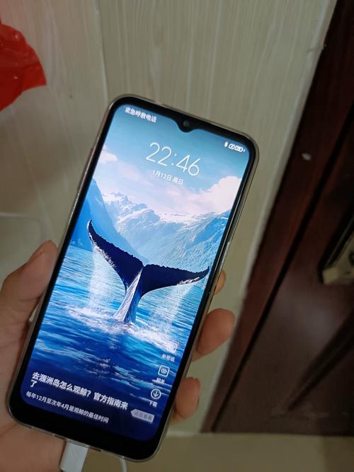 智能八核和真八核的区别