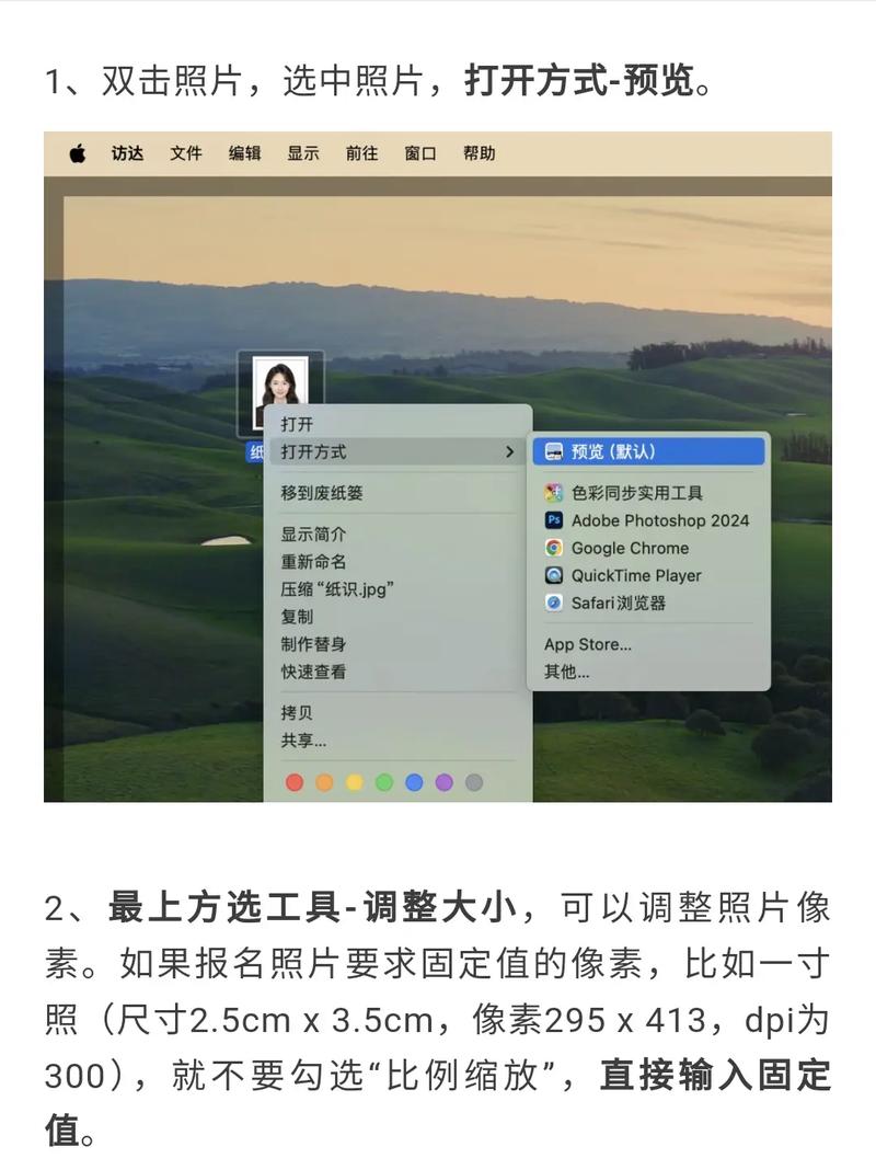 chrome mac 参数设置