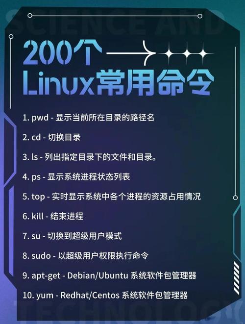 linux ssh 命令参数