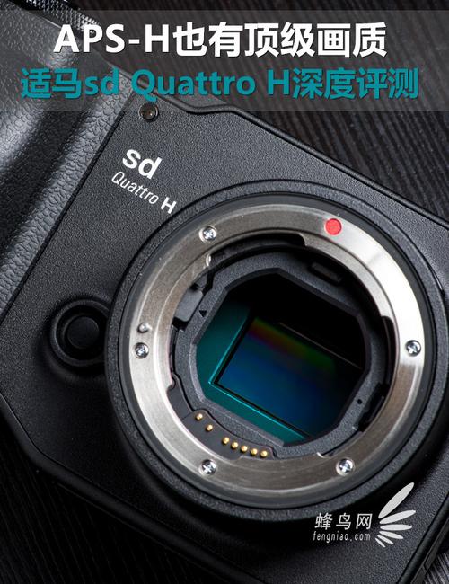sd quattro h参数