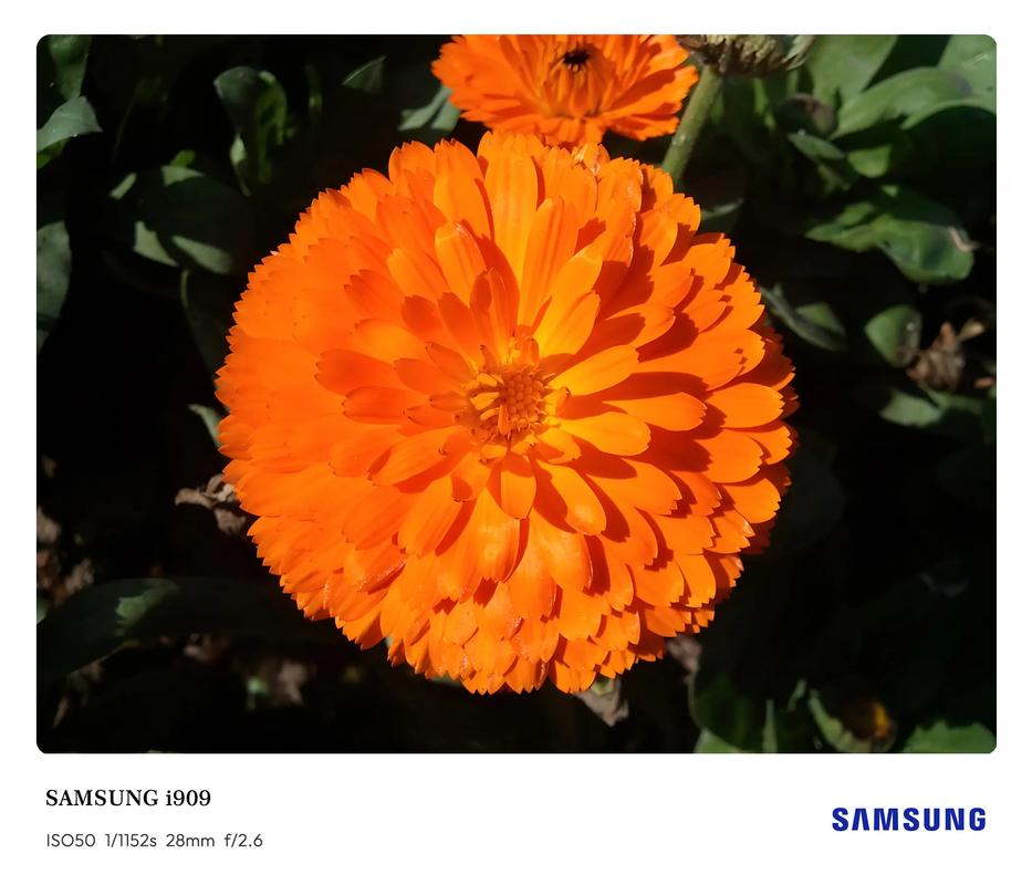 1300万像素智能手机