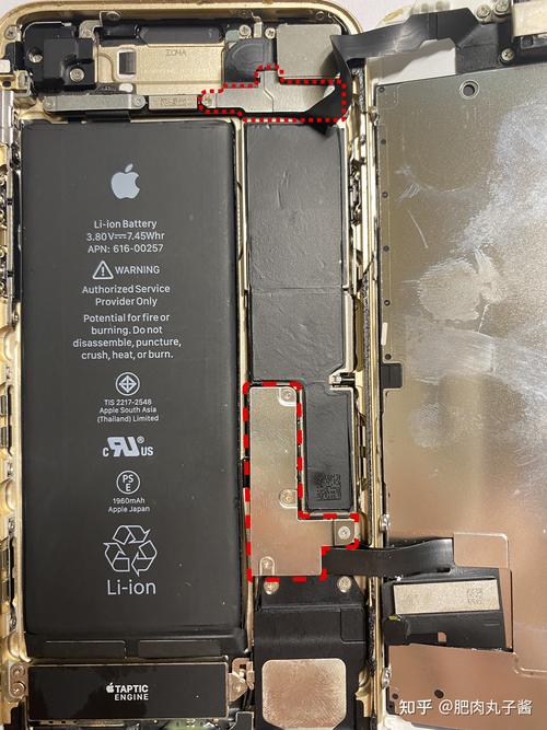 苹果 iphone 7拆机图片