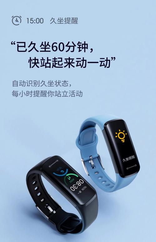 哪款智能手环性价比高