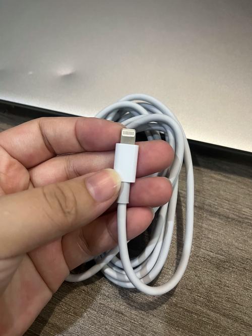 ipadmini2充电器参数