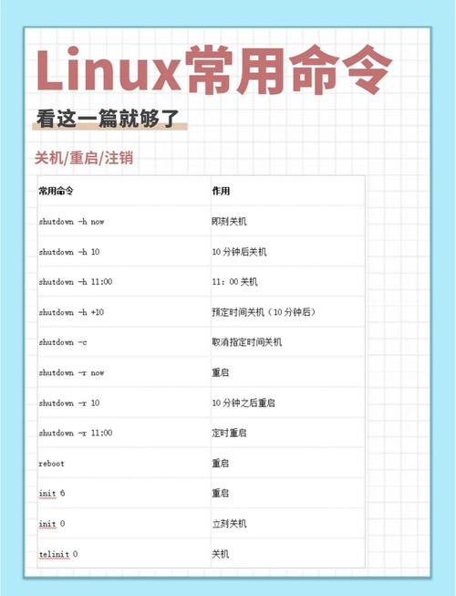 linux ping命令参数