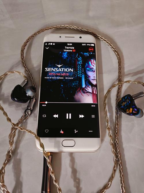 viv0xplay6配置参数