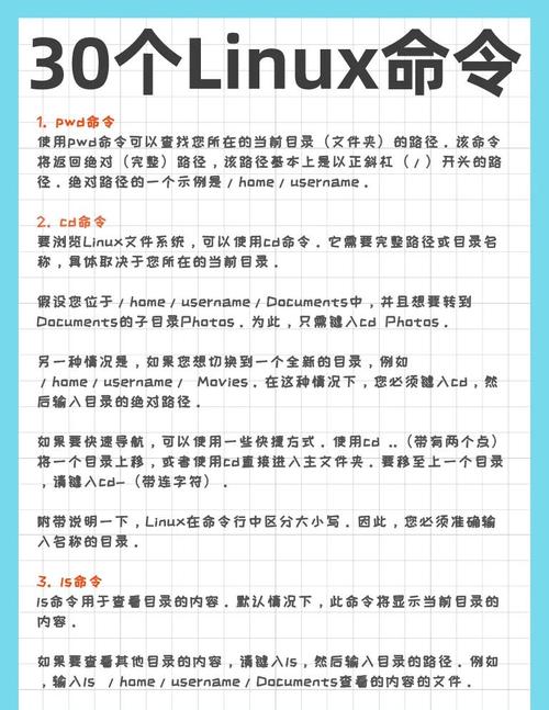 linux ssh命令参数